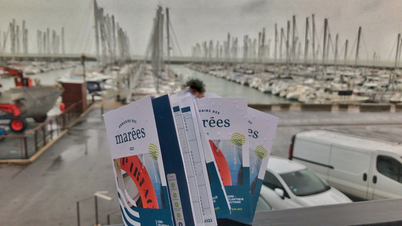 marée marée