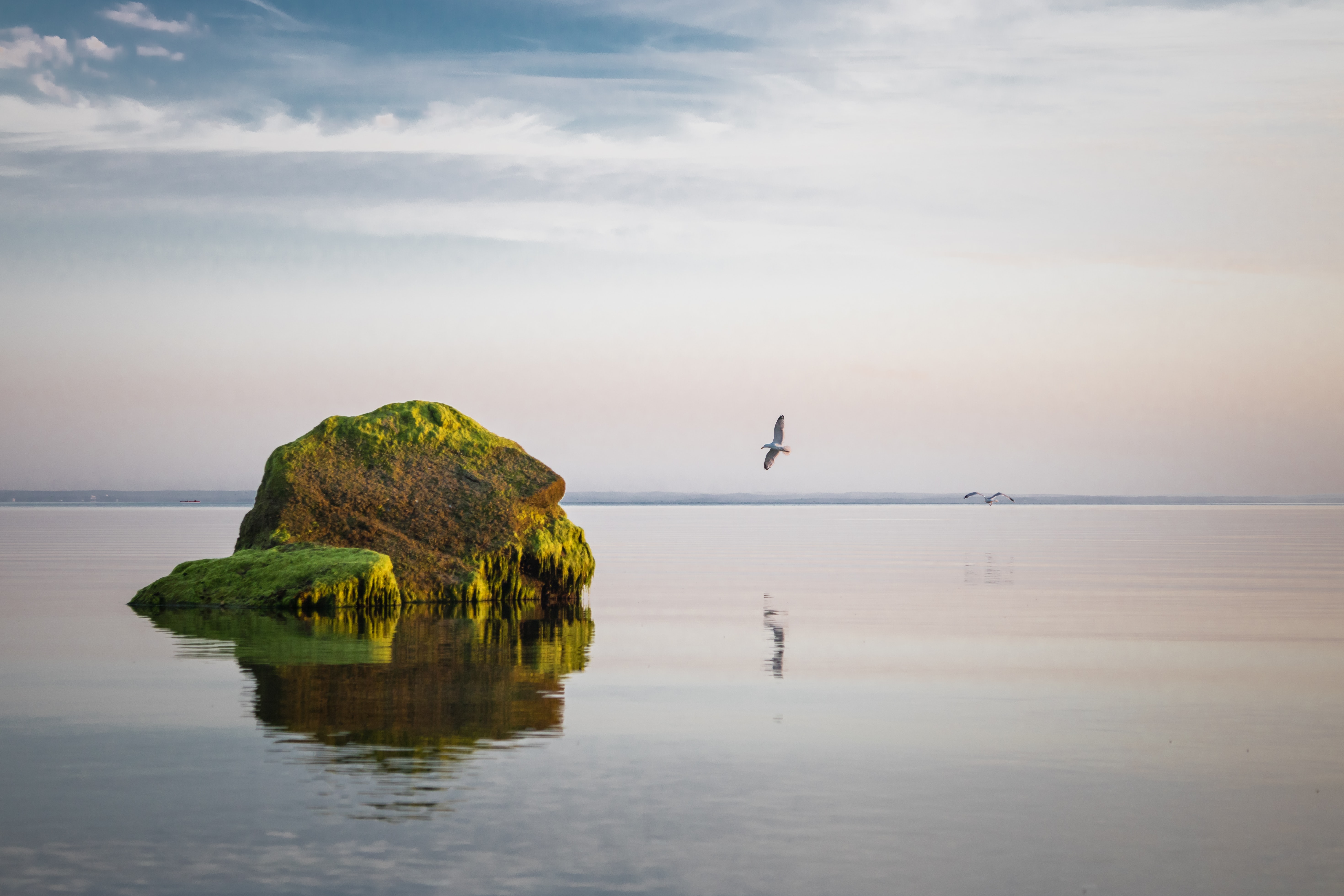 Ile et oiseau Ile et oiseau