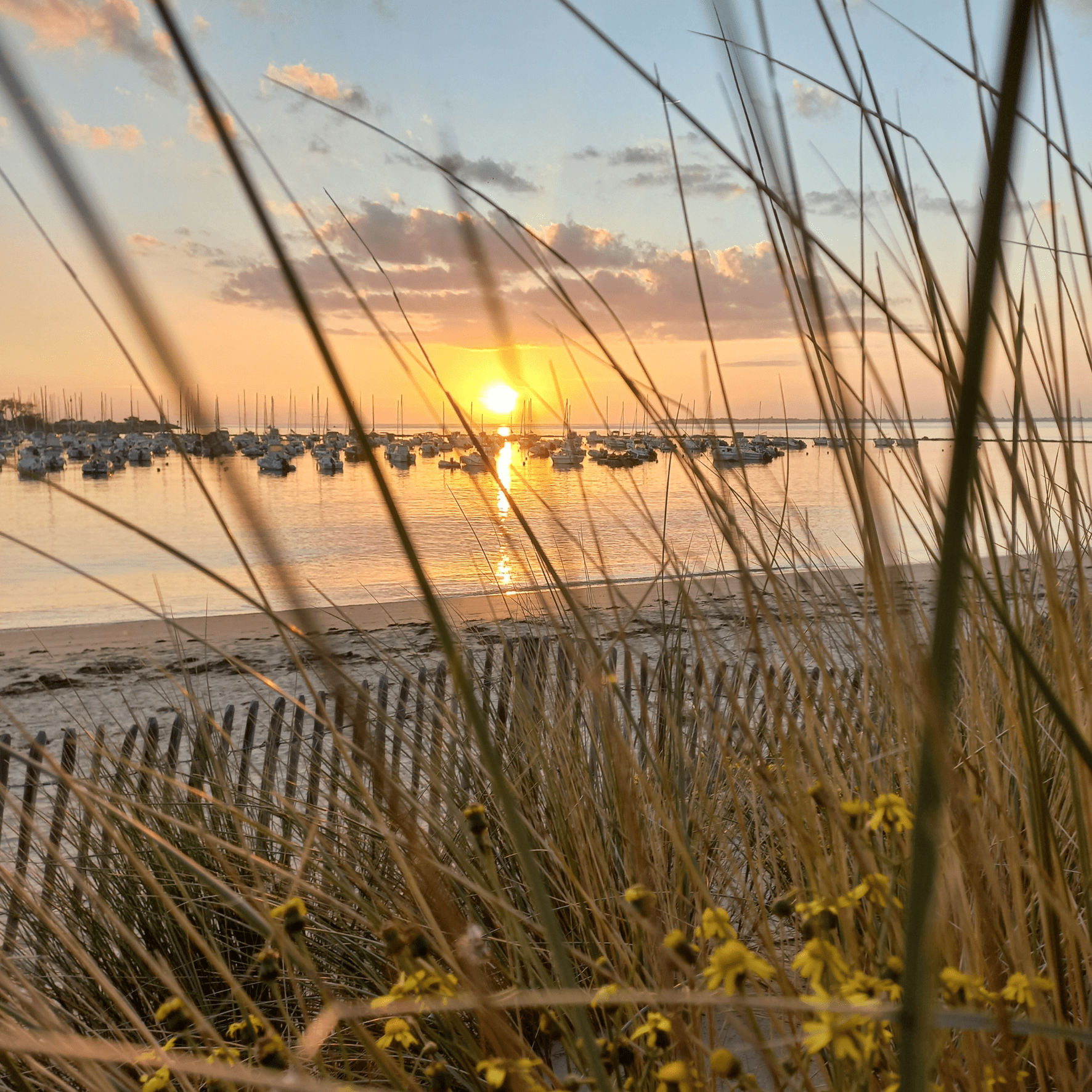 Pass-Ports Pornichet